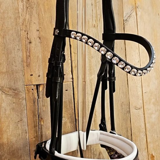 otto schumacher bridle white noseband